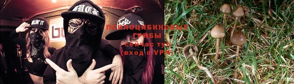 молекула духа Беломорск