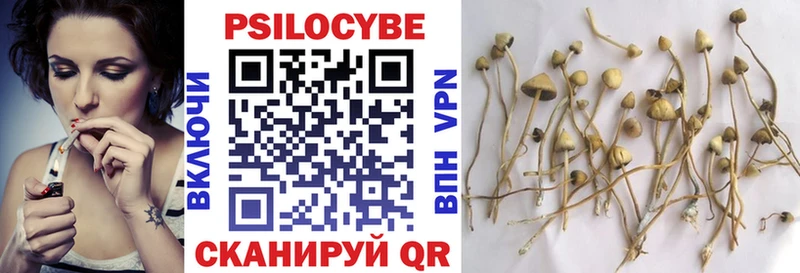 blacksprut tor  Тимашёвск  Галлюциногенные грибы Magic Shrooms 